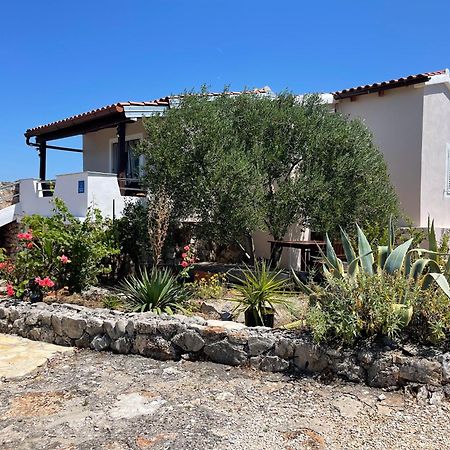 Holiday House Rusticana Sali, Dugi Otok Near Np Kornati Exterior foto