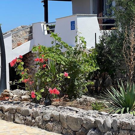 Holiday House Rusticana Sali, Dugi Otok Near Np Kornati Exterior foto